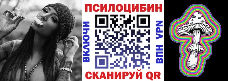 Псилоцибиновые грибы мицелий  что такое   Берёзовка 